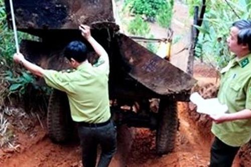 Bắt quả tang 2 xe máy cày vận chuyển gỗ lậu trong đêm