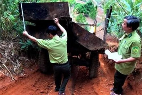 Bắt 2 xe máy cày chở gỗ lậu 'khủng' khỏi rừng