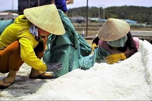 Diêm dân lao đao vì giá muối giảm mạnh