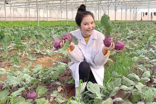 Sao Việt trồng rau cải thiện bữa ăn trong mùa dịch