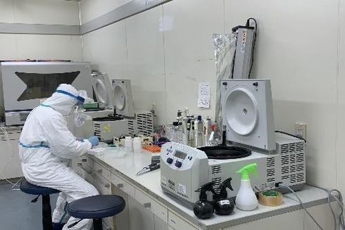 Bước tiến quan trọng trong việc chế tạo vaccine phòng chống Covid-19