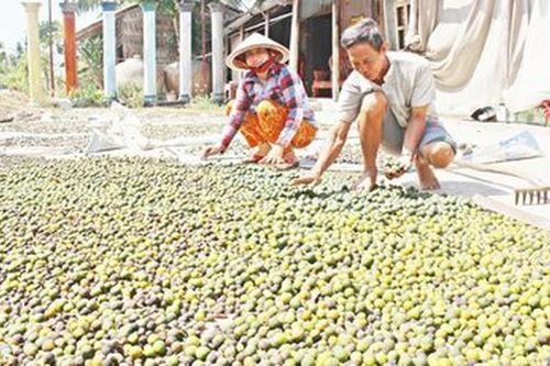 Làm giàu khác người: Cả làng đổ bỏ, nhặt rác này về phơi kiếm bộn tiền