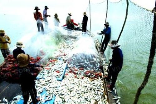 Chính phủ phê duyệt nhiệm vụ lập Quy hoạch bảo vệ và khai thác nguồn lợi thủy sản