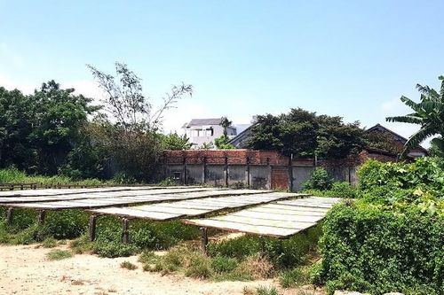 Phú Yên đình chỉ xưởng cá 'tra tấn' khu dân cư