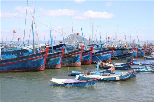 Lập quy hoạch bảo vệ và khai thác nguồn lợi thủy sản thời kỳ 2021-2030, tầm nhìn đến năm 2050