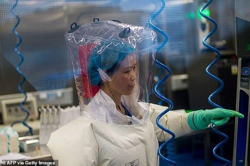 Cuộc săn lùng virus SARS và SARS-CoV-2 của 'nữ người dơi' Trung Quốc - Kỳ cuối