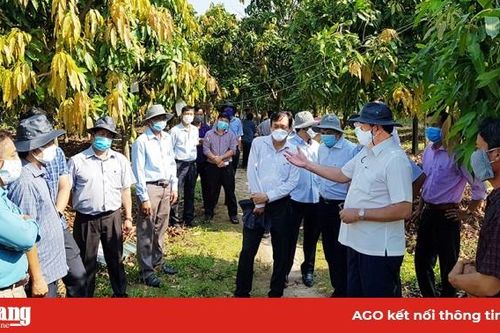 Tri Tôn cần tận dụng tốt cơ hội nông nghiệp