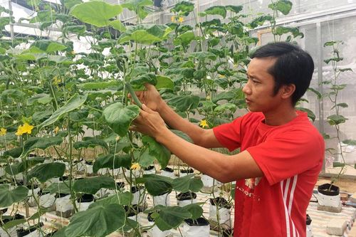 72 xã thuộc vùng dân tộc thiểu số và miền núi đạt chuẩn nông thôn mới
