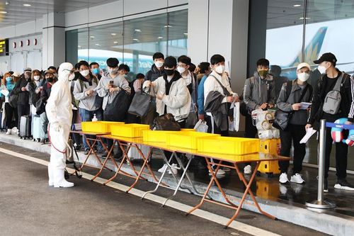 Covid-19: Hỗ trợ gần 300 công dân Việt Nam ở Nhật Bản trong hoàn cảnh khó khăn về nước