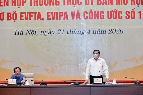 Thẩm tra sơ bộ việc phê chuẩn EVFTA, EVIPA và gia nhập Công ước 105 của ILO