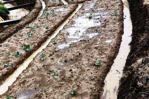 Chủ động ứng phó với mưa lớn, lũ, lũ quét, sạt lở đất và giông lốc, sét, mưa đá