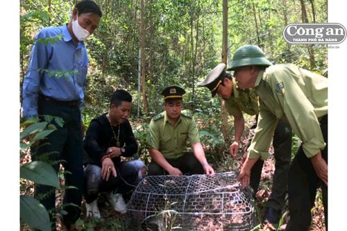 'Tôn ngộ không' về rừng!