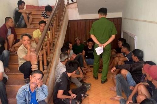 Triệt phá sới bạc bằng hình thức đá gà, bắt giữ gần 50 đối tượng