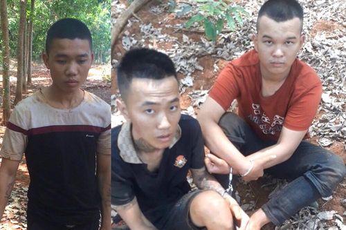 Hai bé gái bị nhóm thanh niên cưỡng hiếp trong vườn cao su