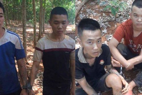 Bắt nhóm thanh niên ép 2 thiếu nữ vào lô cao su để hiếp dâm