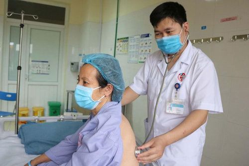 Người phụ nữ Quảng Ninh nguy kịch vì ong đốt