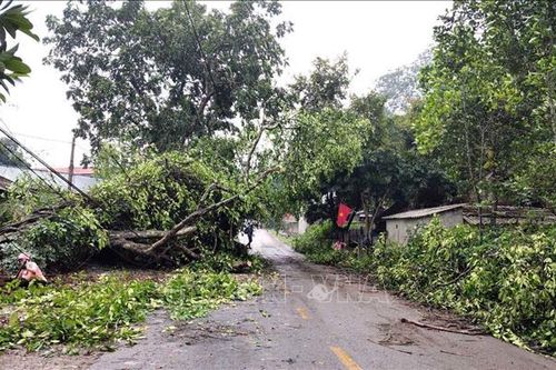 Lai Châu: Dông lốc, mưa đá diện rộng gây thiệt hại lớn về tài sản