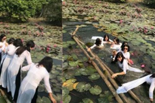 Tưởng có bộ ảnh màu mè bên hoa súng, ai dè 8 cô gái lại 'quá nhọ' cùng rớt xuống hồ