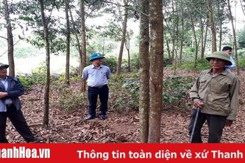Thanh Hóa có 17.422 ha rừng được cấp chứng chỉ FSC