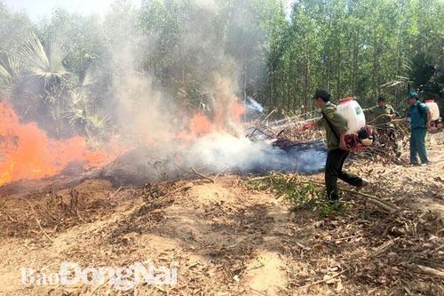 Huyện Xuân Lộc kiến nghị thành lập Khu bảo tồn