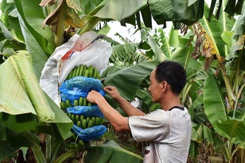 Giảm nghèo ở Đam Rông - Góc nhìn cận cảnh