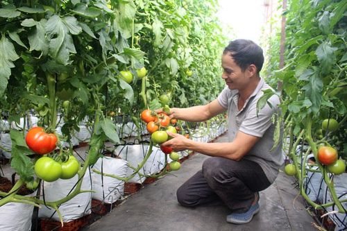 Đức Trọng - một nhiệm kỳ với nhiều thành tựu nổi bật