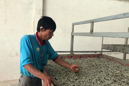 Tà Nung và chuyện người trồng dâu nuôi tằm