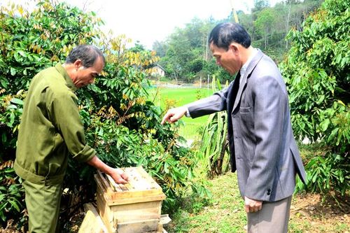 Tiến Bộ nói đi đôi với làm