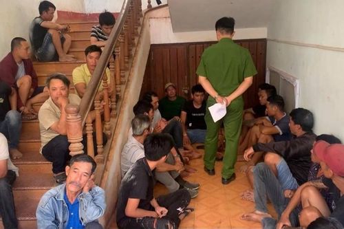 Hàng chục trinh sát đột kích trường gà ở Gia Lai, bắt giữ 49 con bạc