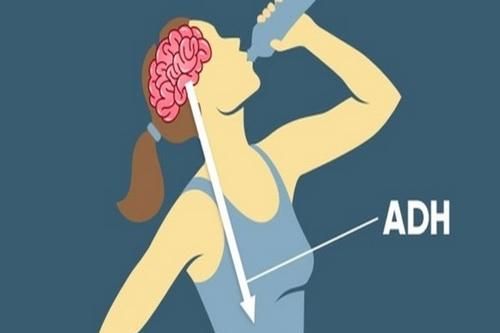 Hiểu đúng về đái tháo nhạt