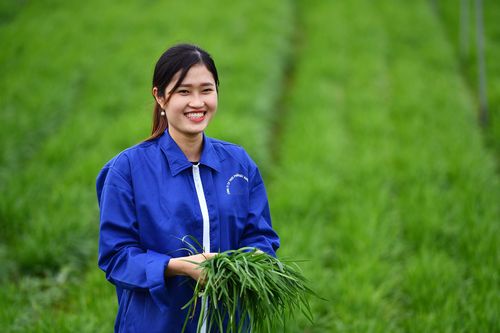Ngành nào sẽ dẫn đầu phục hồi kinh tế sau cách ly?