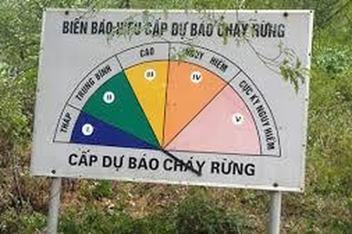 Chủ động ứng phó với nguy cơ cháy rừng