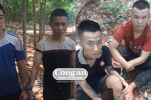 Tạm giữ nhóm đối tượng hiếp dâm, che giấu tội phạm