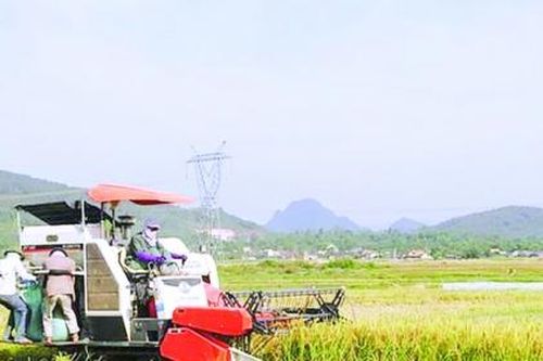 Huyện Hưng Nguyên (Nghệ An): Trong khó khăn, nông nghiệp - công nghiệp vẫn phát triển