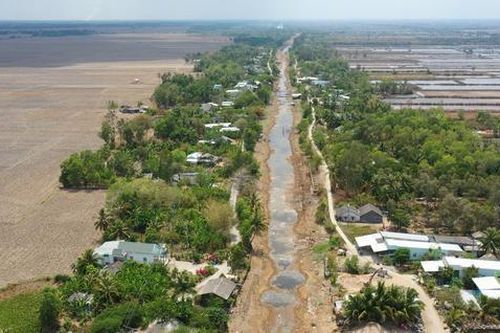 Cà Mau tìm giải pháp lâu dài đối phó sụt lún, sạt lở: Tìm giải pháp khắc phục tạm thời và lâu dài