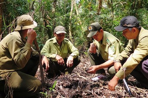 Rừng U Minh Hạ cảnh báo cháy cấp độ 5 cực kỳ nguy hiểm