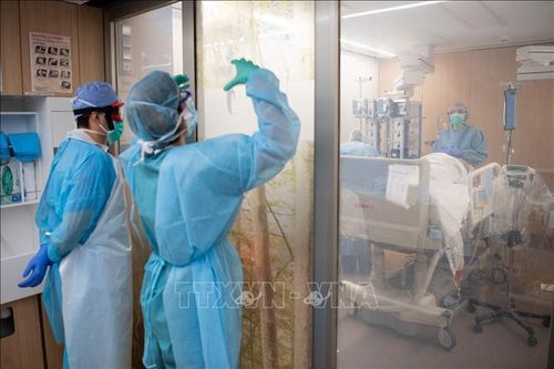 Tây Ban Nha ghi nhận thêm 440 ca tử vong do COVID-19 trong 24 giờ qua