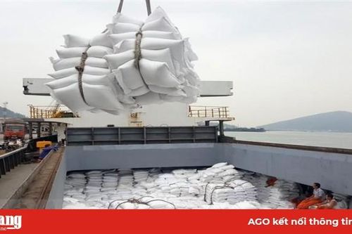 Tạm ứng hạn ngạch 100.000 tấn cho doanh nghiệp có gạo đưa vào cảng trước 24-3-2020 nhưng chưa đăng ký tờ khai