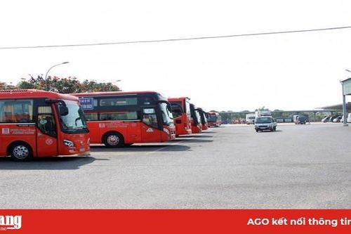 An Giang: Yêu cầu hoạt động vận tải hành khách phải đảm bảo an toàn phòng, chống dịch Covid-19