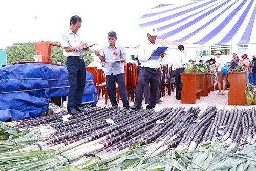 Chương trình Mỗi xã một sản phẩm 2020: Tiếp tục 'vừa làm vừa học'