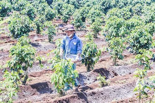 Hướng Hóa đẩy mạnh tái cơ cấu nông nghiệp