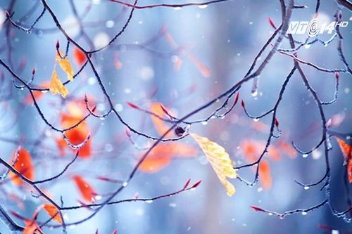 Thời tiết 23-4: 'Rét nàng Bân' phủ khắp Bắc Bộ