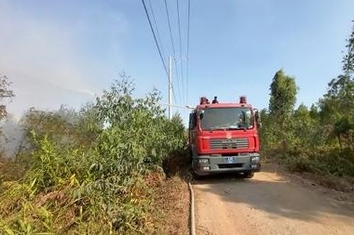 Kịp thời dập tắt đám cháy vườn tràm ở Tiền Giang