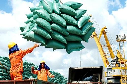 Thanh tra Chính phủ vào cuộc làm rõ việc xuất khẩu gạo