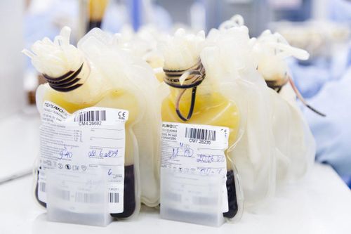 Việt Nam sẽ sớm sử dụng huyết tương để điều trị Covid-19