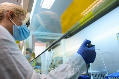 Dịch COVID-19: Trung Quốc thử nghiệm vaccine chống virus SARS-CoV-2 trên loài khỉ