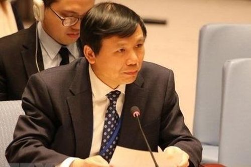 Việt Nam ủng hộ nỗ lực nhằm đạt một giải pháp công bằng cho vấn đề Palestine