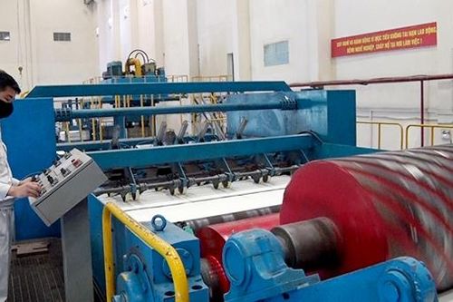 Tuyên Quang hướng tới mục tiêu hình mẫu về phát triển lâm nghiệp