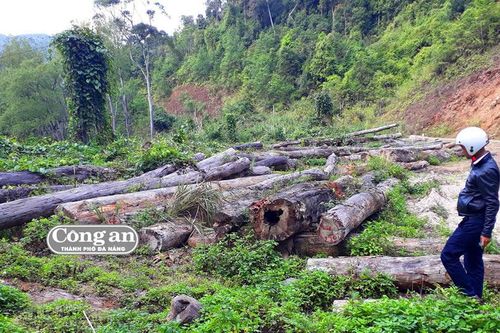 'Kẻ ăn không hết, người lần chẳng ra'