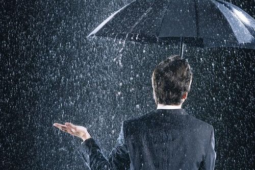 Muốn đón những cơn mưa, bạn cần chuẩn bị từ mùa khô